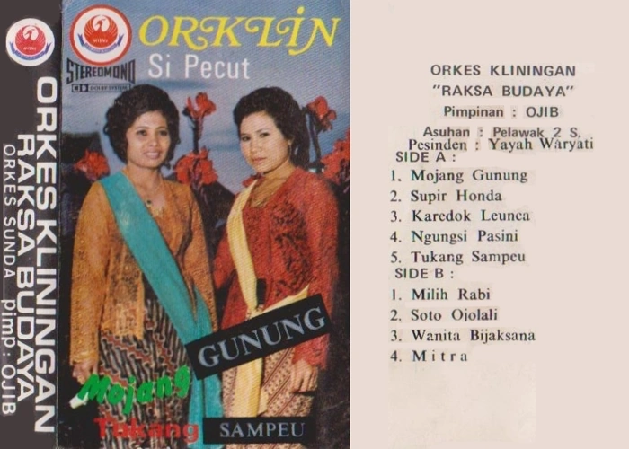 Mojang Gunung