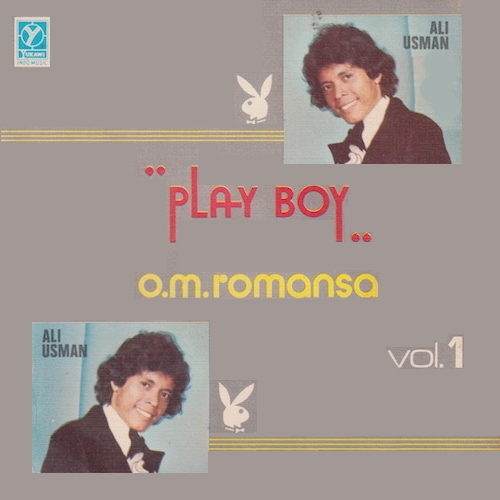 Vol. 1 Play Boy